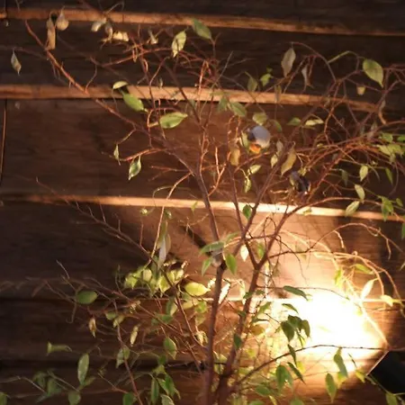 Einzigartiges 140qm Loft - Party Ist Erlaubt! برلين