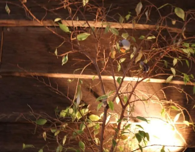 Einzigartiges 140qm Loft - Party Ist Erlaubt! Berlin